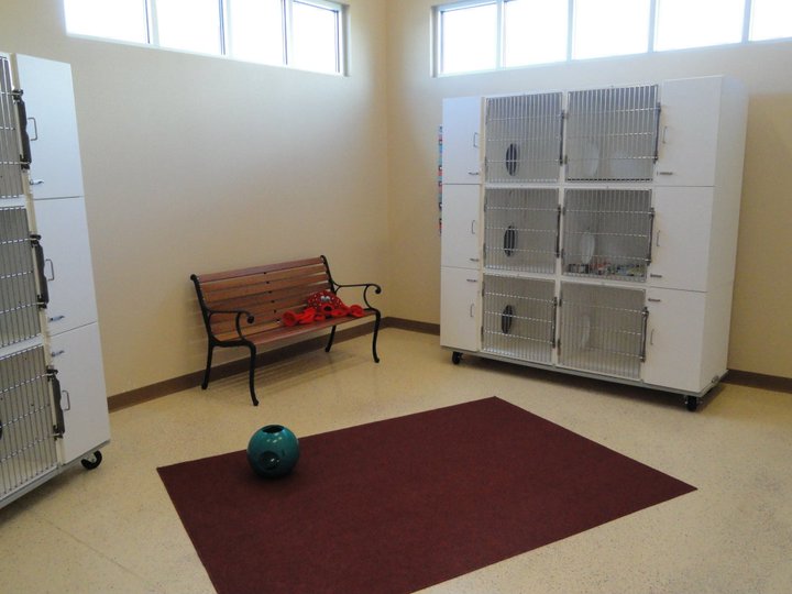 Pet Boarding NORTHWEST ANIMAL HOSPITAL