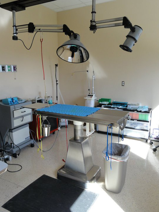 Surgery Suite