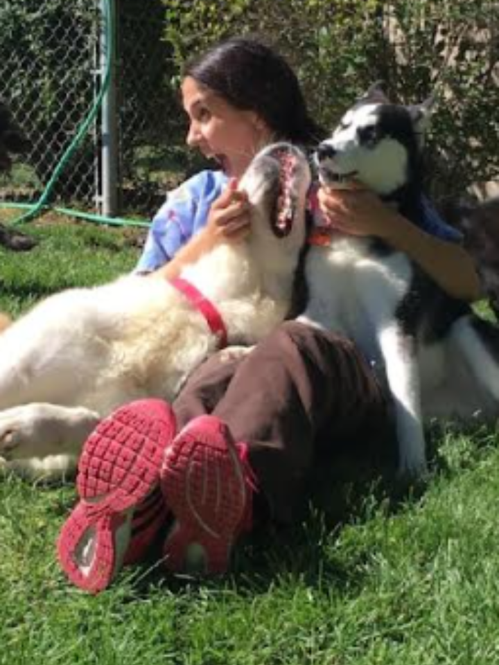 Ericca, Northwest Animal Hospital team member